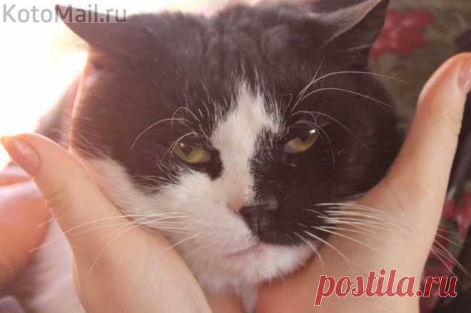 Доброта спасёт мир