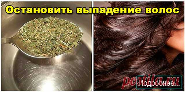 Остановить выпадение волос - ПОЛЕЗНЫЕ СОВЕТЫ