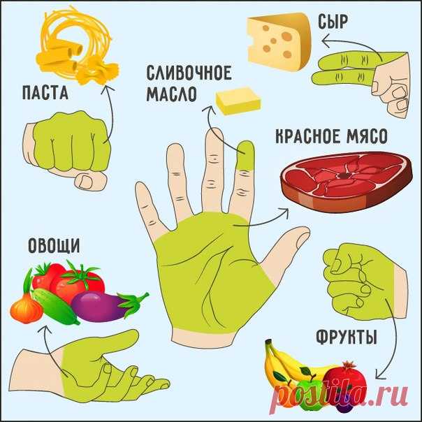 Сколько еды нужно съедать за раз | Четыре вкуса