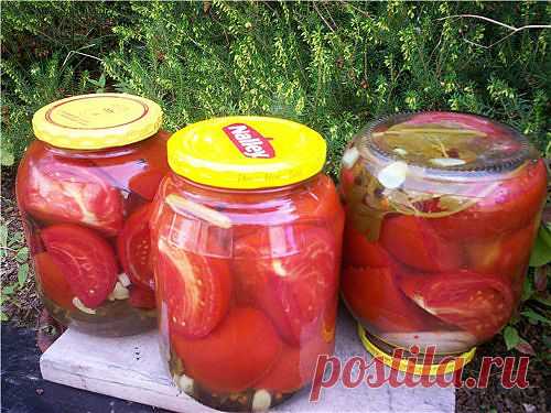 http://dom-ozhag.mirtesen.ru/blog/43371443187