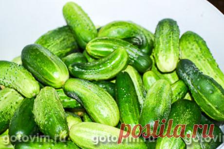 Консервированные огурцы на зиму с красным перцем и уксусом. Рецепт с фото / Готовим.РУ
