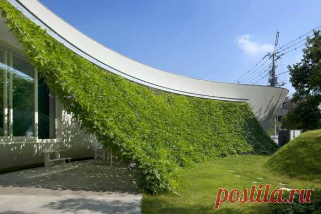 Уникальный «умный» дом Green Greenberg Green House | Интерьер и Дизайн