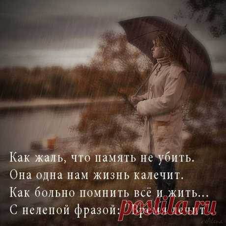 Открытка