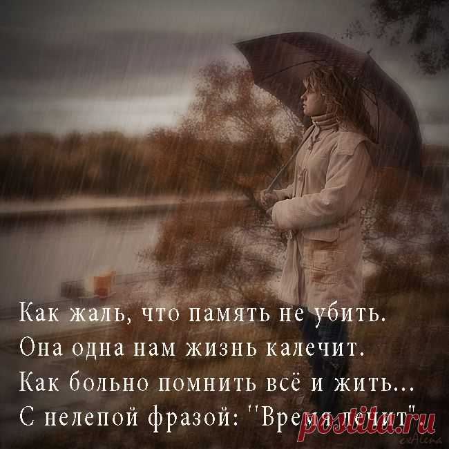 Открытка