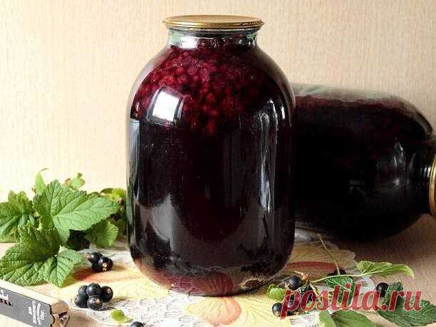Компот из чёрной смородины