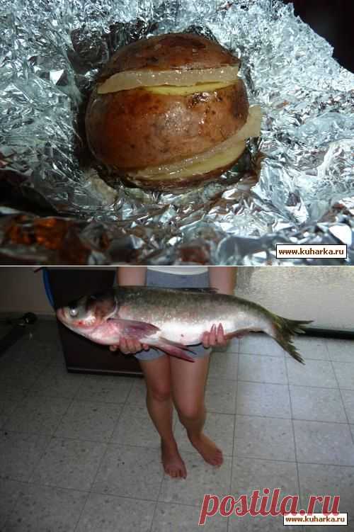 "Полевая кухня"