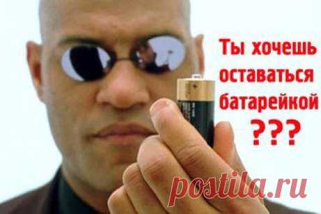 польза полыни и пижмы