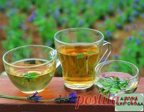 Новости
Травяные напитки. О пользе трав

В Древней Руси напитки из трав и кореньев пили задолго до появления заморского чая (его завезли к нам менее 300 лет назад). Наши предки пили «взвары» из черносмородиновых и малиновых побегов, иван-чай когда хотели восстановить силы. Наши пра-прадеды были крепки здоровьем и духом, знали о целебных свойствах трав.