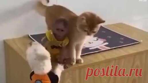 Современный 