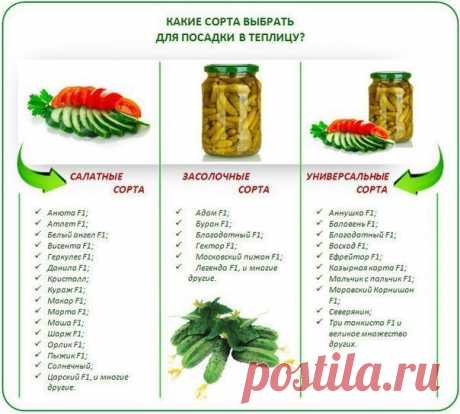 Идеи для сада | дача | ландшафт| огород