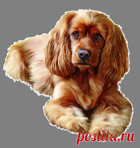 Дневник abcd21(Oksana)
