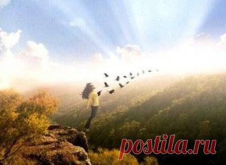 Вознесение | Сергей Колеша