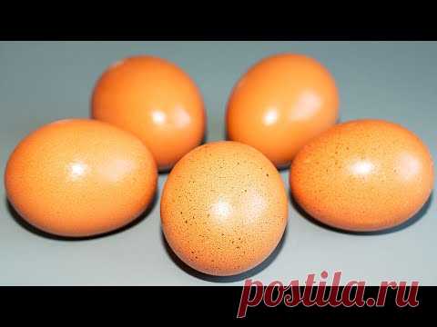 3 Вкуснейших Завтрака из Обычных Яиц!!! Быстрые и Простые Рецепты ✧ Ирина Кукинг - YouTube