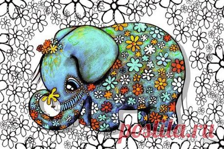 Ирина Сергеева