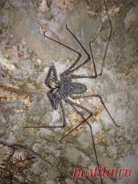 Прикольные и интересные фото 10