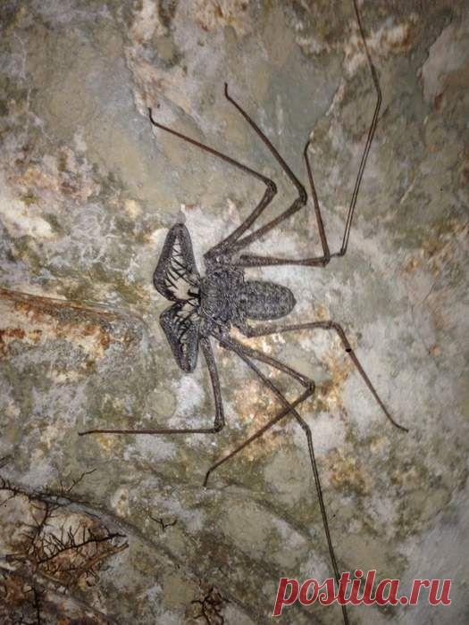 Прикольные и интересные фото 10