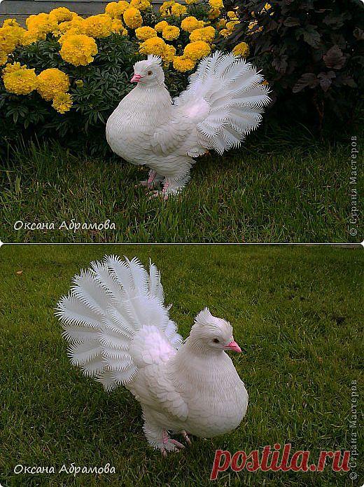 Голубь из пластиковых бутылок. МК | Своими руками