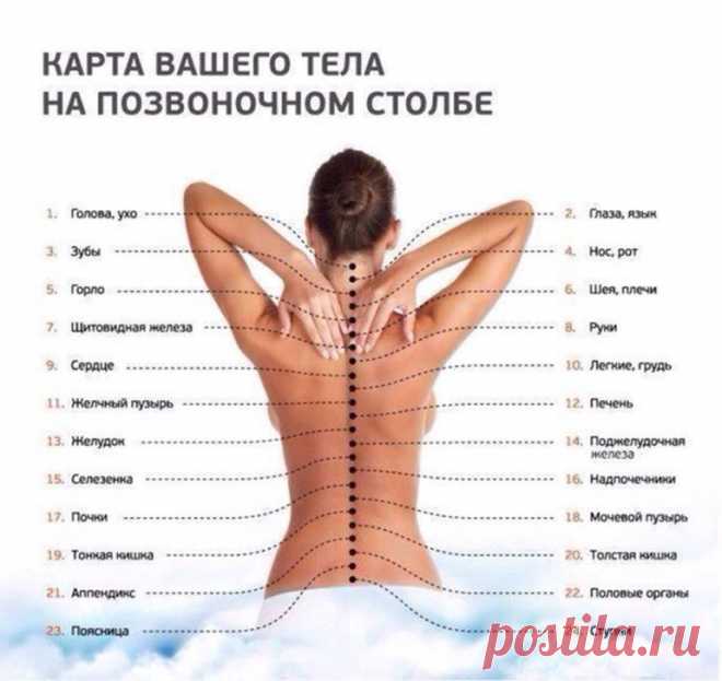 Кацудзо Ниши: 6 правил здоровья
