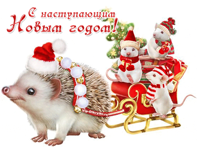С наступающим Новым годом крысы | Музыкальные Открытки Бесплатно