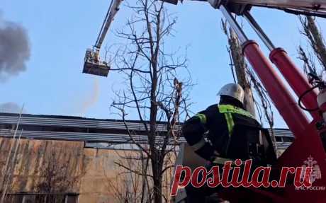На горящем заводе в Курске рухнули перекрытия. В Курске площадь пожара на подшипниковом заводе АПЗ-20 выросла до 17 тыс.