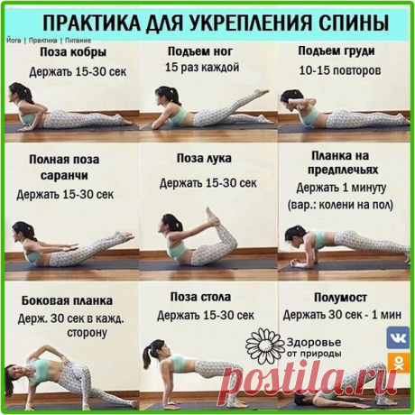 Уделите своей спине всего несколько минут в день!