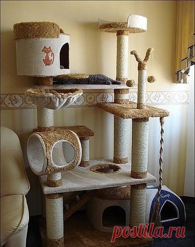 Игровые комплексы для кошек в интерьере квартиры » DataLife Engine