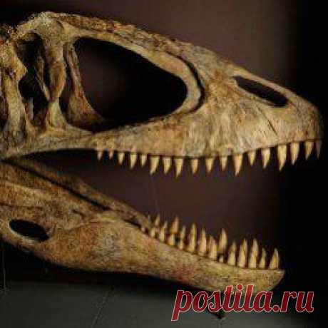 10 невероятных музеев динозавров