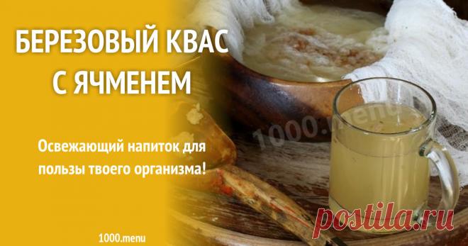 Березовый квас с ячменем рецепт с фото Освежающий напиток для пользы твоего организма!
