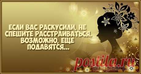 Юмор. Чисто женское…