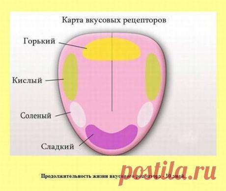 Хозяюшка. Кушать подано! - Полезные таблицы для кухни