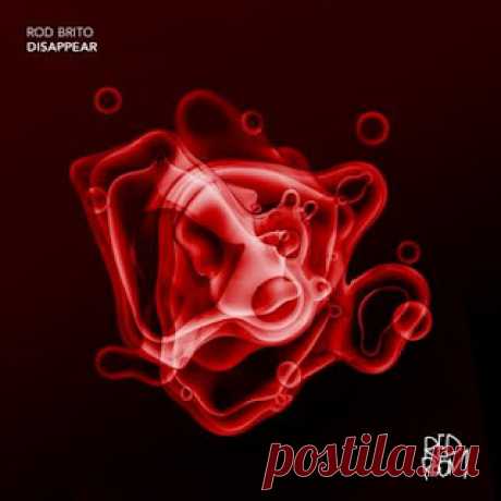 lossless music  : Rod Brito - Disappear