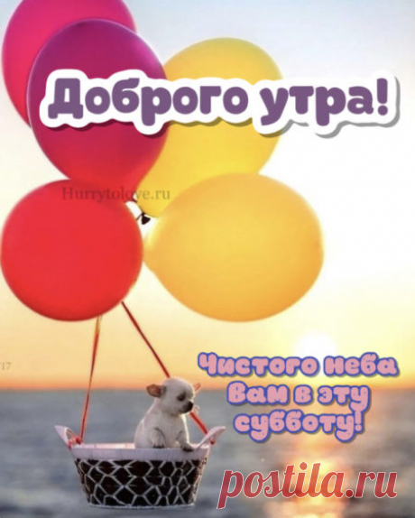 Картинки доброе субботнее утро: красивые открытки с пожеланиями