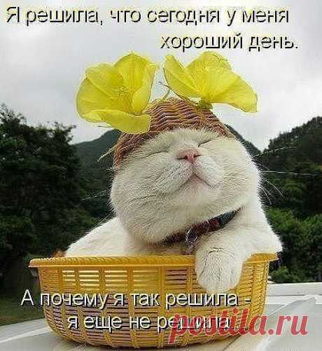 Медики лечат ПОЗИТИВОМ
Ирина Полунина