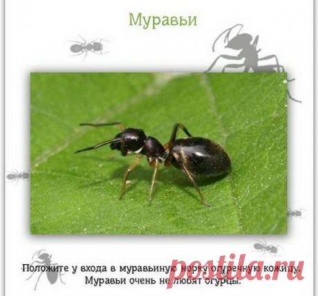 Полезные советы на каждый день