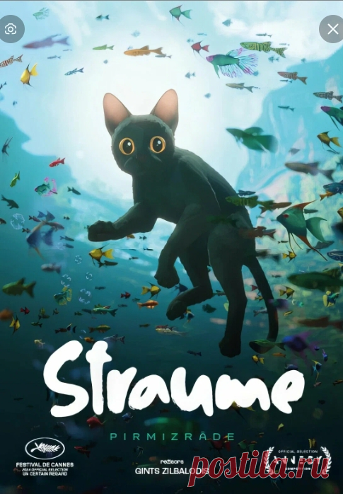Straume,/ Течение/ мультфильм, 2024-Происходит глобальное наводнение, и черный кот вынужден искать убежище в лодке вместе с другими животными.