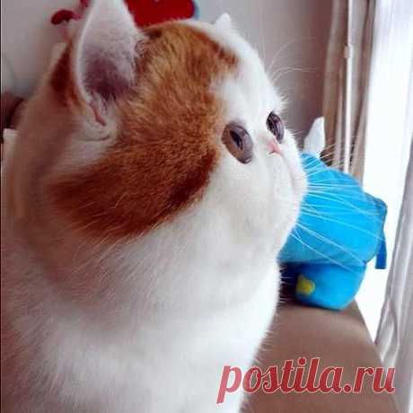 Лунарная сущность :) Алекс Сандра