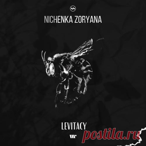 Nichenka Zoryana - Levitacy [Liquid Flow]