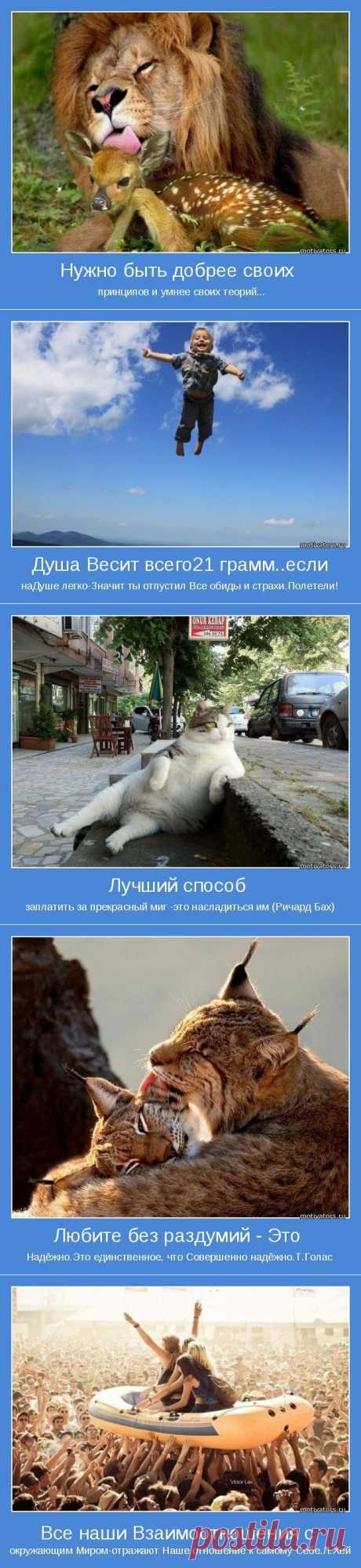 Позитивные мотиваторы