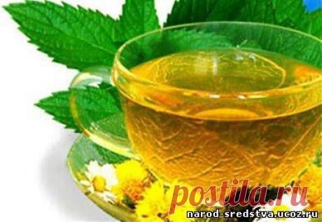 Витами Р – содержание в продуктах | Народная медицина