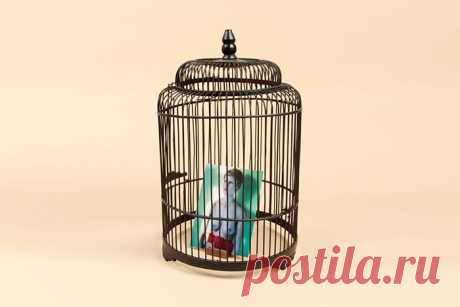 4 психологических ловушки — что мешает нам выйти из дискомфортной ситуации