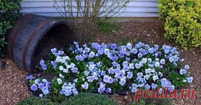 Отличные примеры оформления клумбы из того, что найдётся под рукой