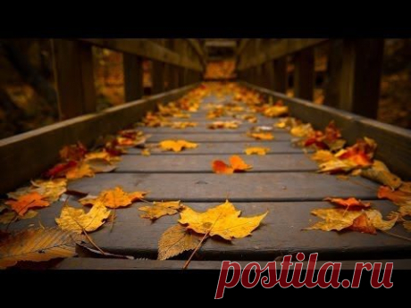 Православные стихи «Осень жизни»