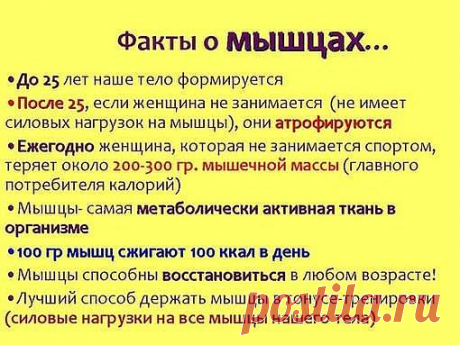 НЕСКОЛЬКО ФАКТОВ О МЫШЦАХ