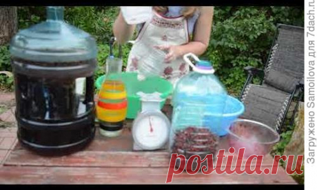 Универсальный рецепт домашнего вина из любых ягод. Видео