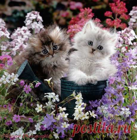 Мой Мир@Mail.Ru