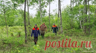 В Хакасии спасатели ищут пятерых ушедших в тайгу за орехами подростков. В Хакасии спасатели МЧС России ищут пятерых подростков из деревни Нижний Матур, которые отправились в тайгу за орехами. Читать далее