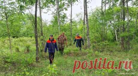 В Хакасии спасатели ищут пятерых ушедших в тайгу за орехами подростков. В Хакасии спасатели МЧС России ищут пятерых подростков из деревни Нижний Матур, которые отправились в тайгу за орехами. Читать далее