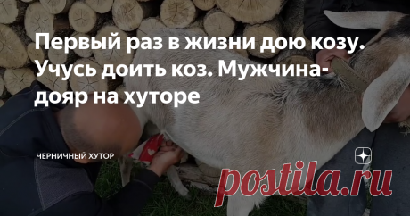 Первый раз в жизни дою козу. Учусь доить коз. Мужчина-дояр на хуторе