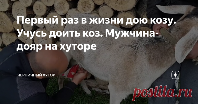 Первый раз в жизни дою козу. Учусь доить коз. Мужчина-дояр на хуторе
