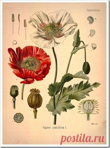 Найдено на сайте thoughtfuldesigns.blogspot.com.